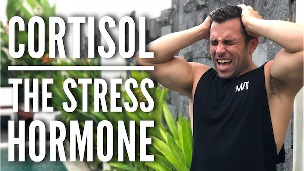 Read more about the article The Cortisol Problem | Dealing With Stress
